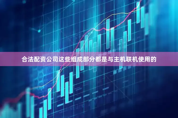 合法配资公司这些组成部分都是与主机联机使用的