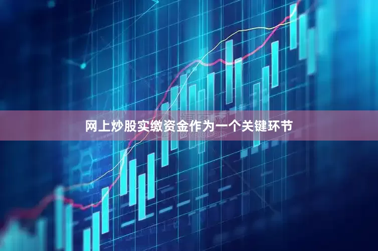 网上炒股实缴资金作为一个关键环节